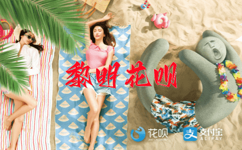 跃然纸上花呗
